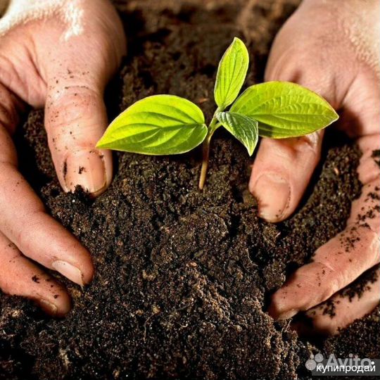 Плодородный грунт чернозем