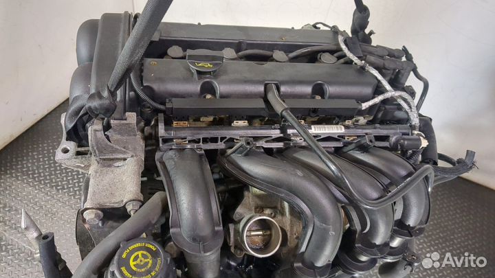 Двигатель Ford Focus 2 shda, shdc 1.6 Бензин, 2008