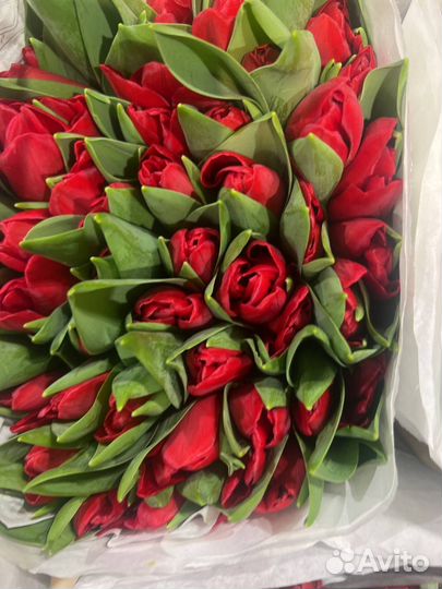 Тюльпаны опом и в розницу