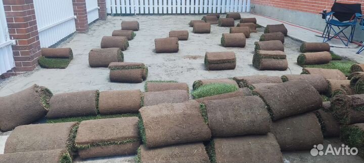 Рулонный газон под ключ/Полив