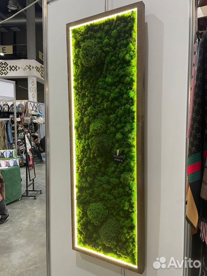 Картина из мха