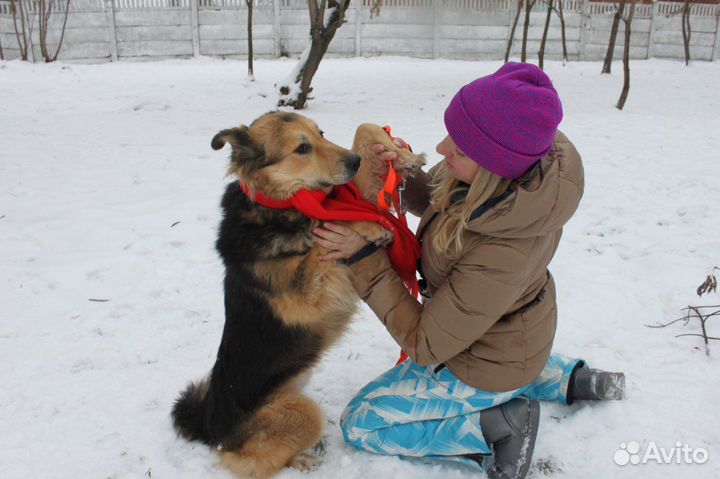 Милена добрая, нежная и робкая