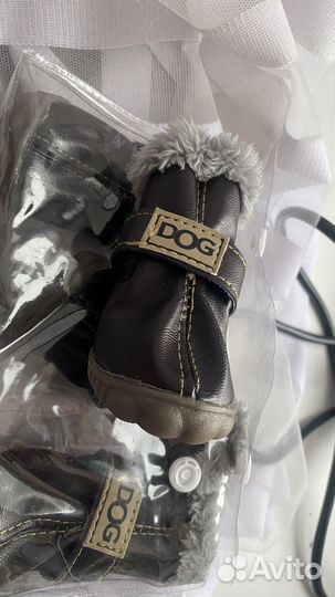 Обувь для собак