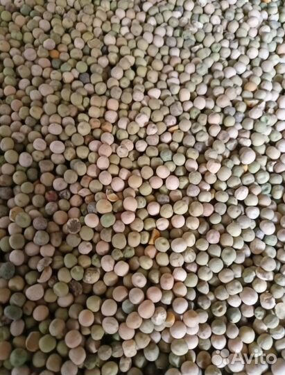 Комбикорм, Зерно, добавки, премиксы