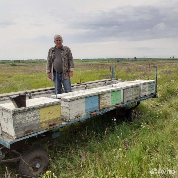 Продаю личную пасеку с пчёлами под ключ