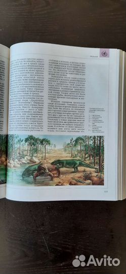 Книга-энциклопедия для детей