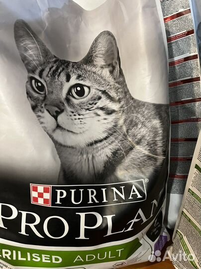 Корм для кошек проплан