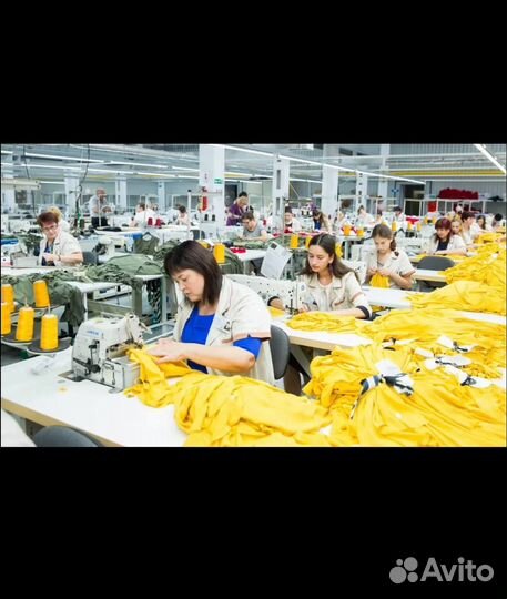 Пошив одежды : Швейное производство