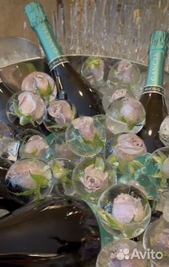 Роза во льду