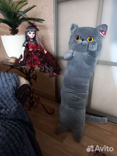 Кот батон британец