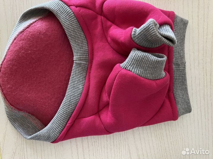 Одежда для собак и кошек