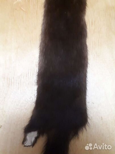 Шкурки норки