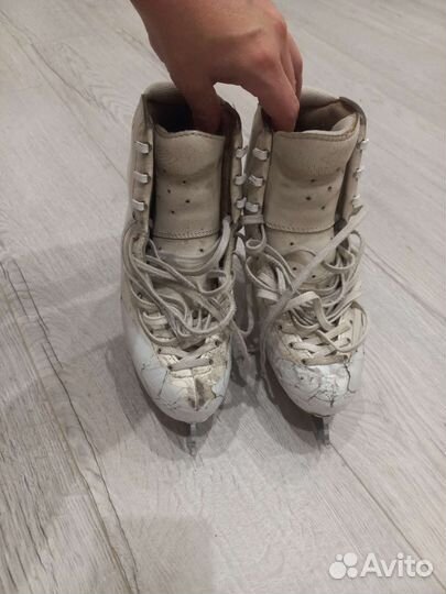 Фигурные коньки edea chorus 235