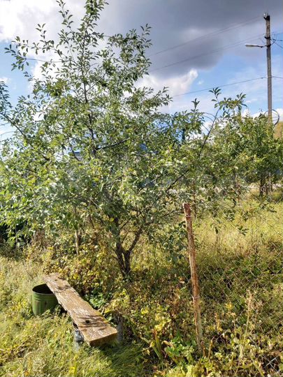 Дом 40 м² на участке 50 сот.