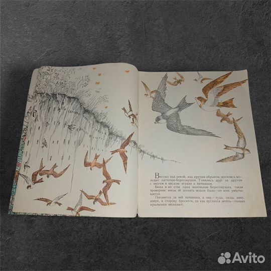 Бианки, Виталий. Лесные домишки. 1984