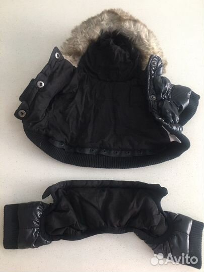 Одежда для собак мелких пород