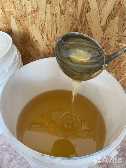 Свежий мед 2023 г Акация, Гречка