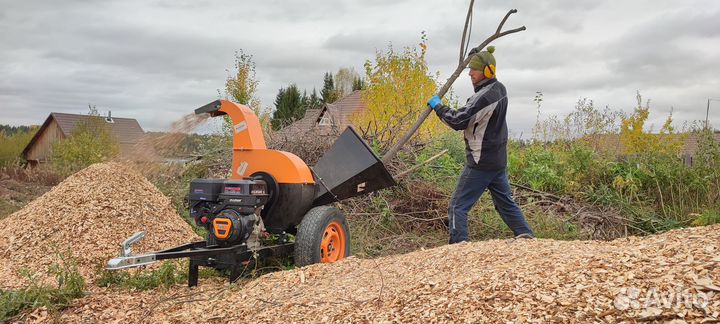 Спил, обрезка деревьев. Высотные работы Альпинисты
