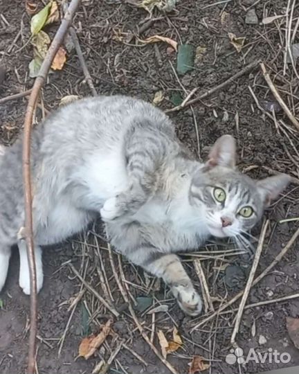 Настоящий пацан