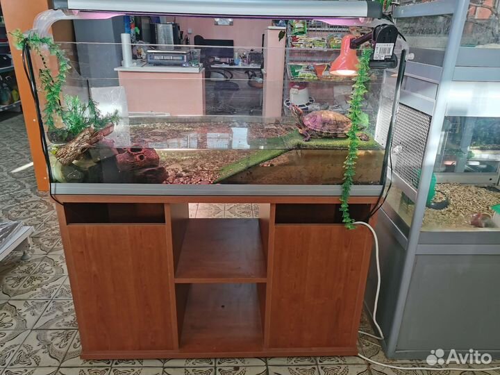 Террариум для черепахи