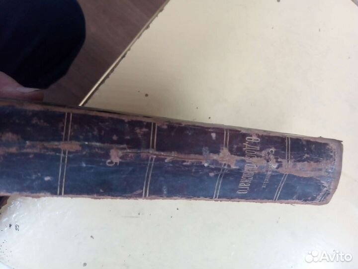 Том Достоевского, 