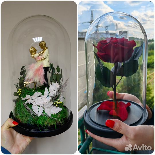 Живые цветы в колбе стекле, подарок, флорариум, от