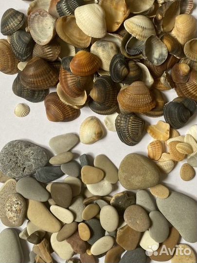 Декоративные камушки и ракушки