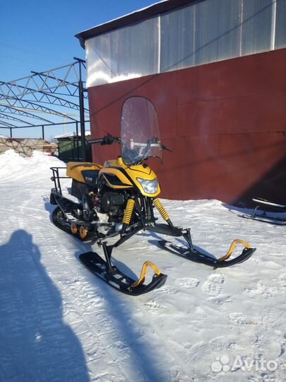 Dingo T150 2015