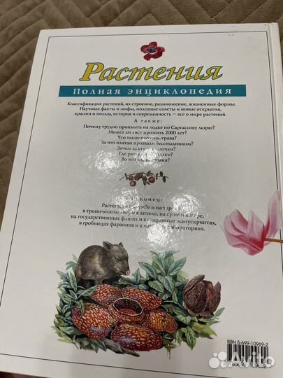 Большая энциклопедия