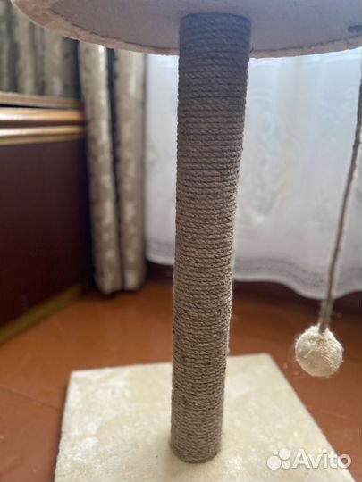 Когтеточка