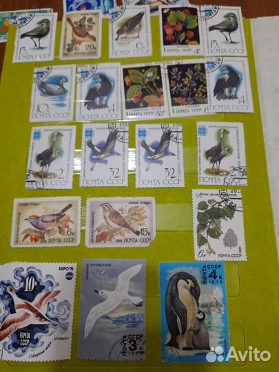 Почтовые марки