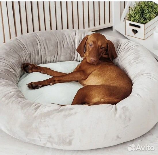 Лежанки для собак и кошек