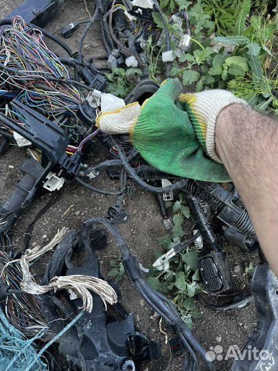 Проводка моторного отсека Мазда 6 gj