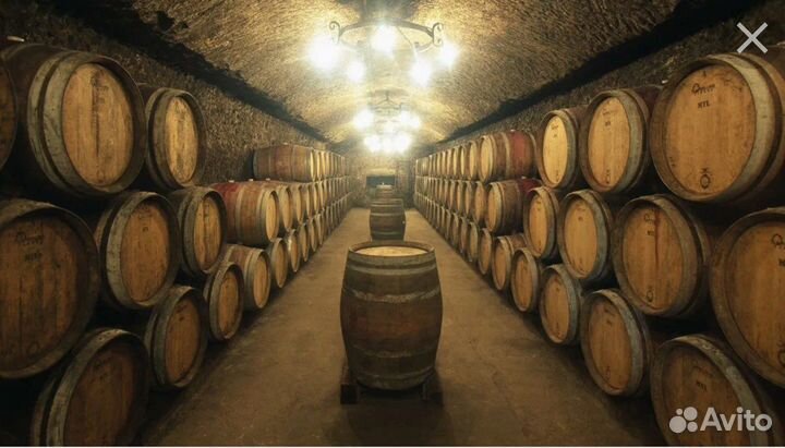 Ищу партнера вино разлив