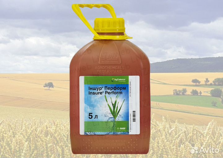 Протравитель Семян Иншур Перформ Basf