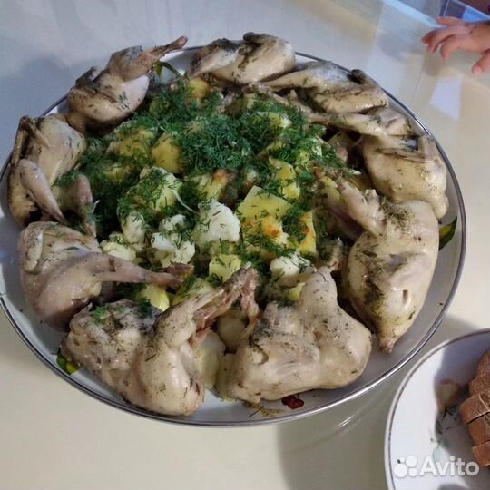 Мясо перепелов