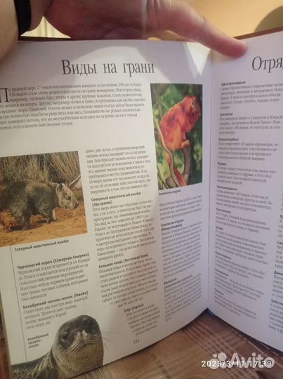 Детская энциклопедия