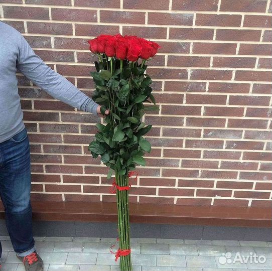 Розы Эквадор Метровые 100 см доставка Москва