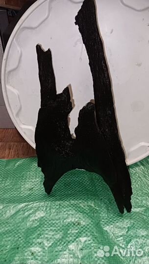 Дизайнерское дерево