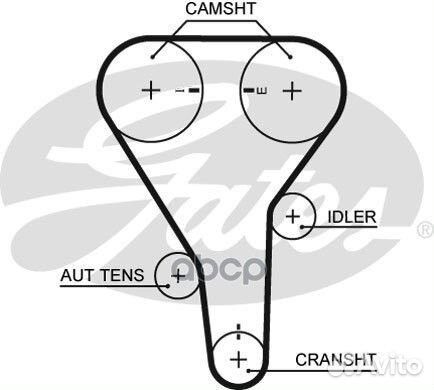 Ремень грм Ford Probe / Mazda