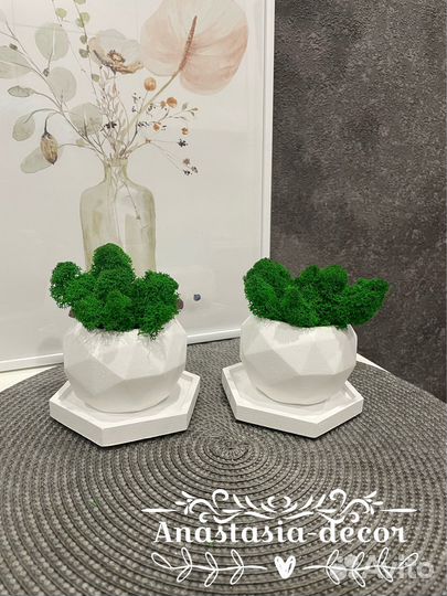 Кашпо со мхом