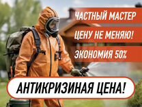 Обработка участка от клещей и комаров Казань