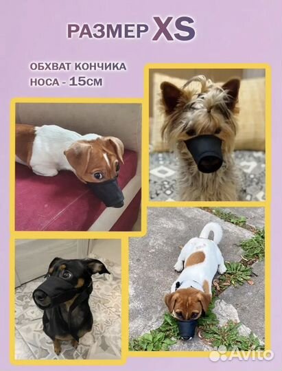 Намордник для маленькой собаки тканевый