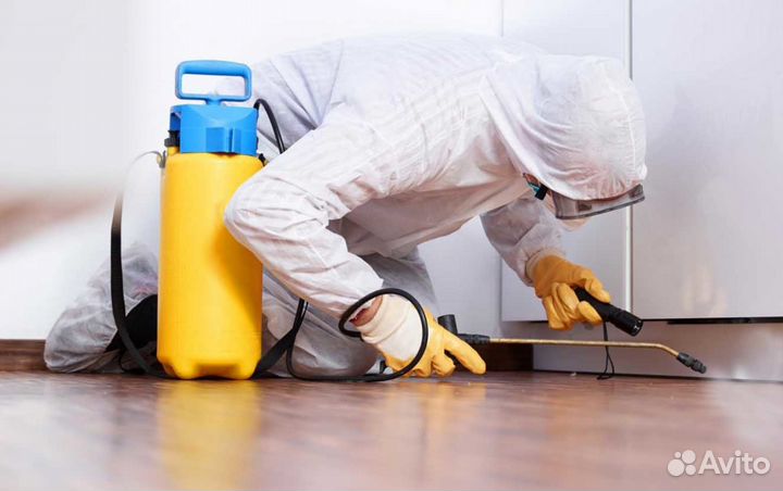 Дезинфекция