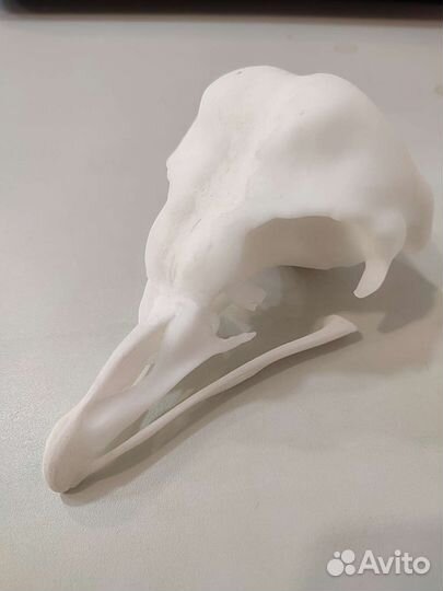 3d печать, 3d моделирование на заказ Бердск Академ