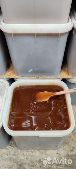 Мёд гречишный