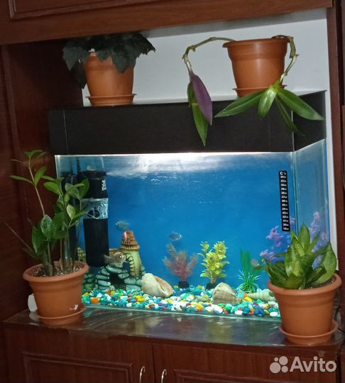 Аквариум