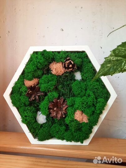 Фитокартина