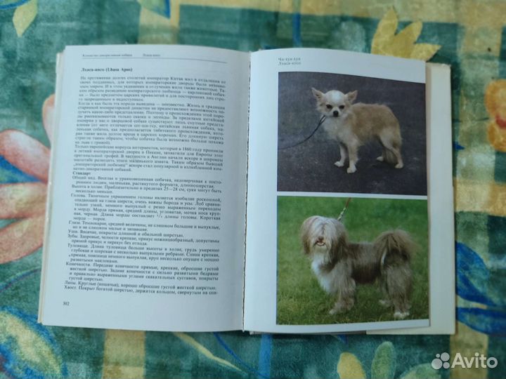 Атлас пород собак