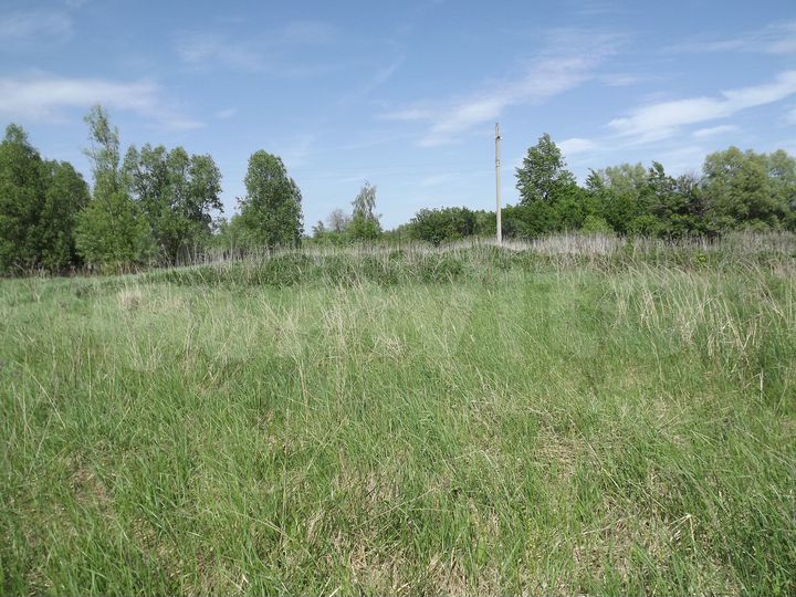 Участок 25 сот. (ИЖС)